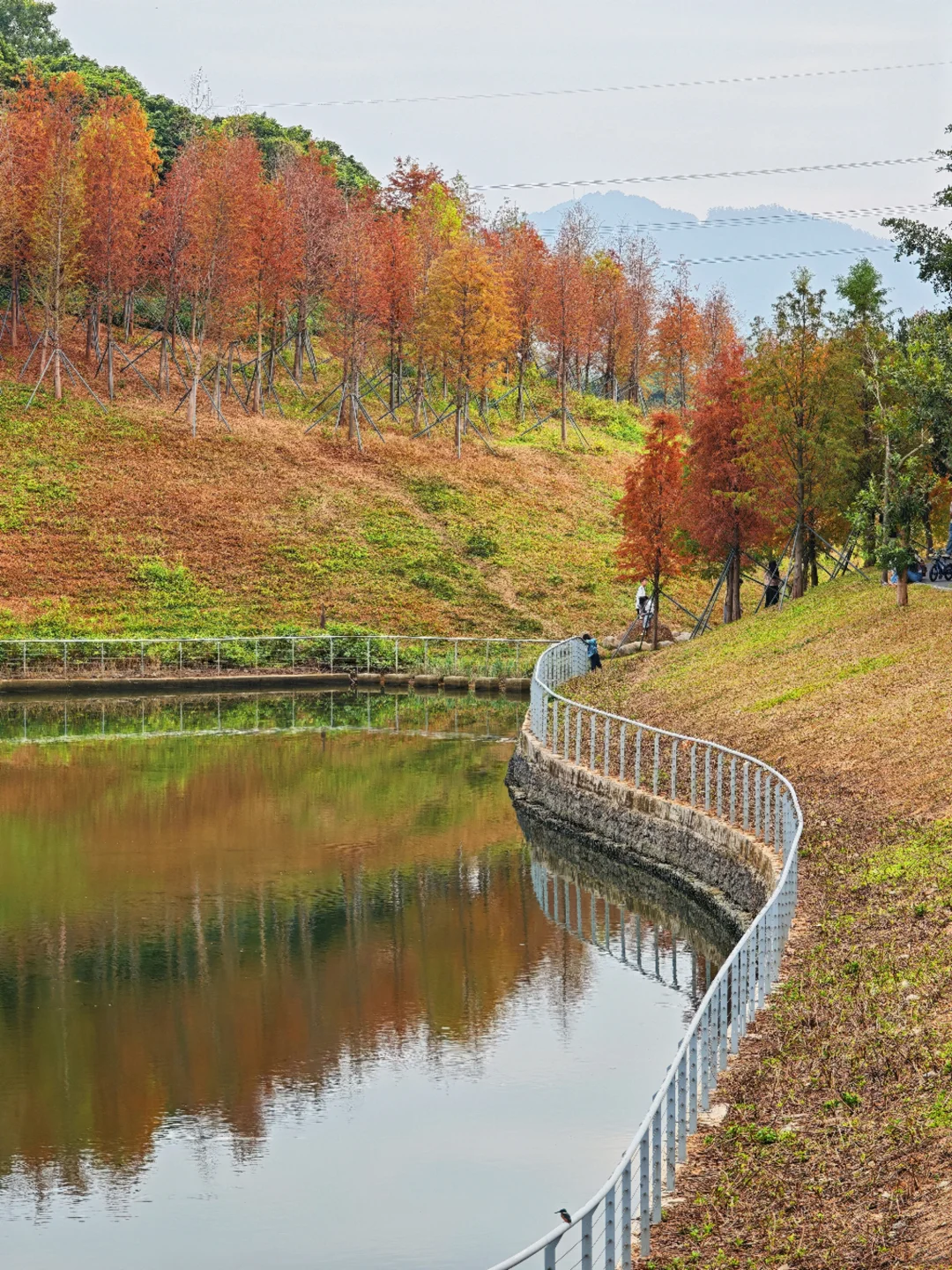 深圳西丽写意三河已美成油画，附live实拍！
