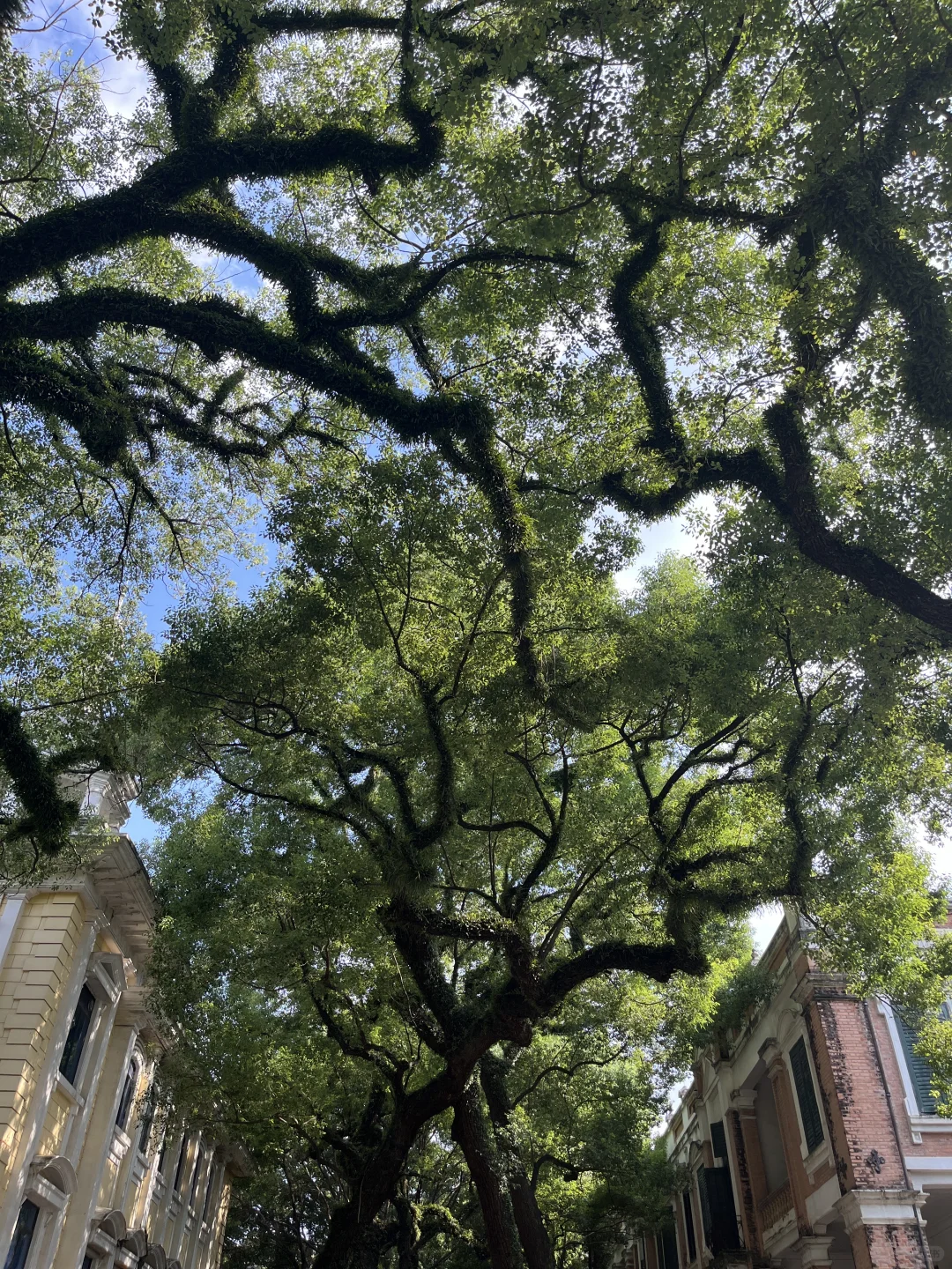 只说大实话的广州逛吃推荐and避雷