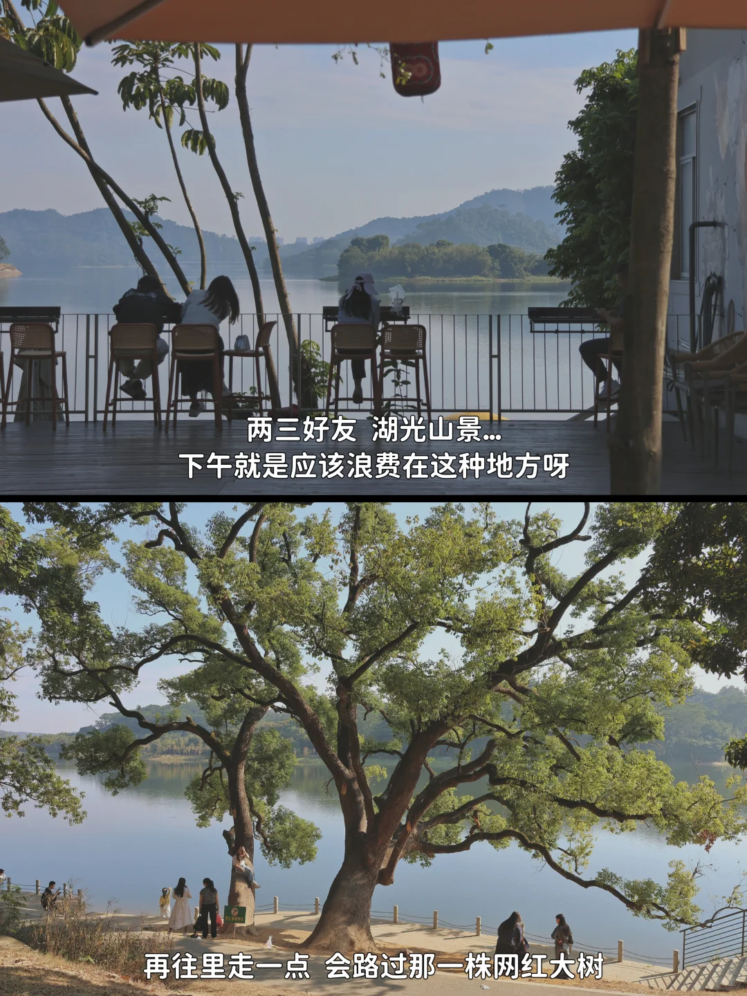 从深圳 坐地铁去东莞逛吃的一天