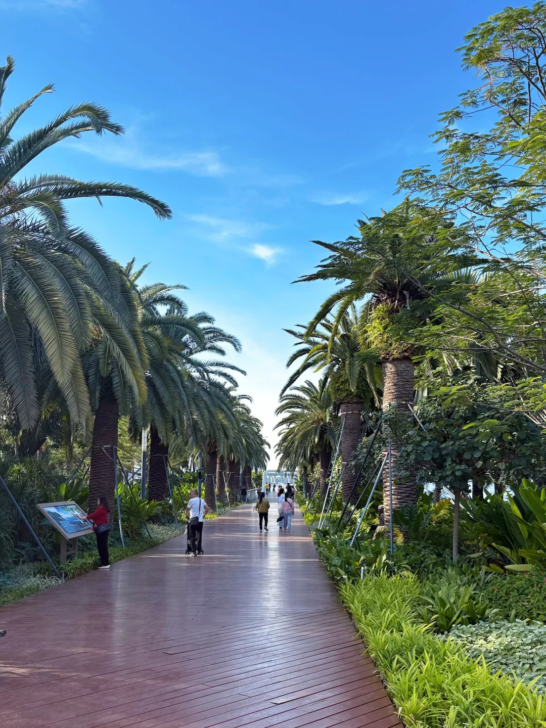 又是羡慕深圳人的一天，公园真的卷到离谱