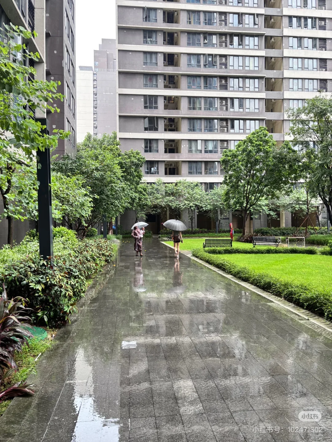 广州番禺 找合租女室友 仅女生