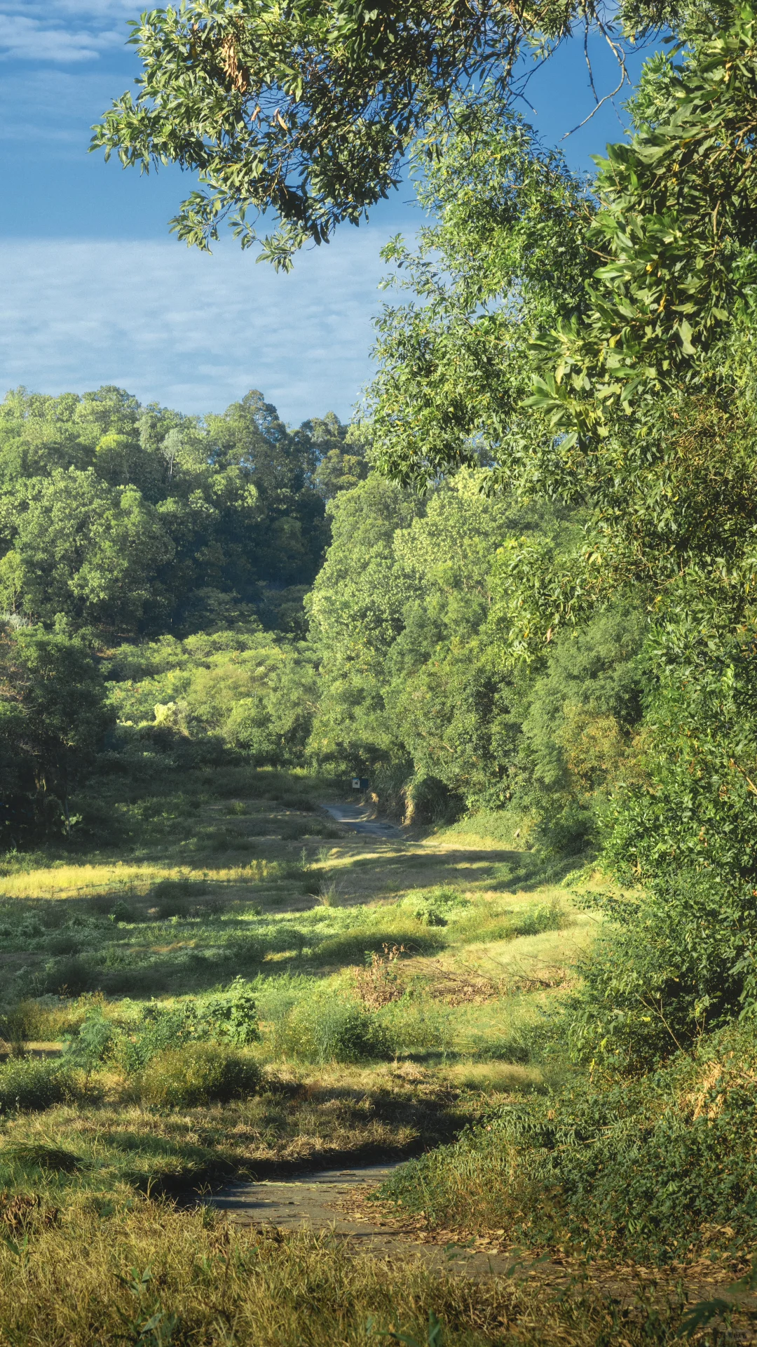 深圳龙岗徒步2小时｜小众绮丽郊野路线