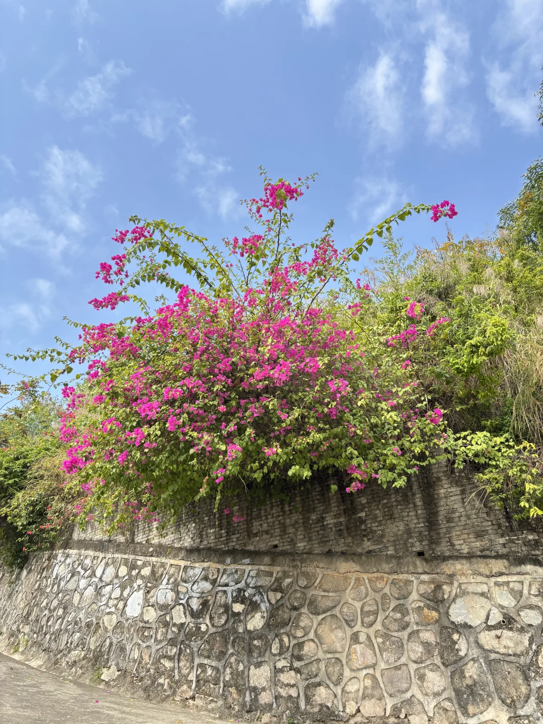 东莞遛娃惊喜发现！免费“小九寨沟”碧玉湖