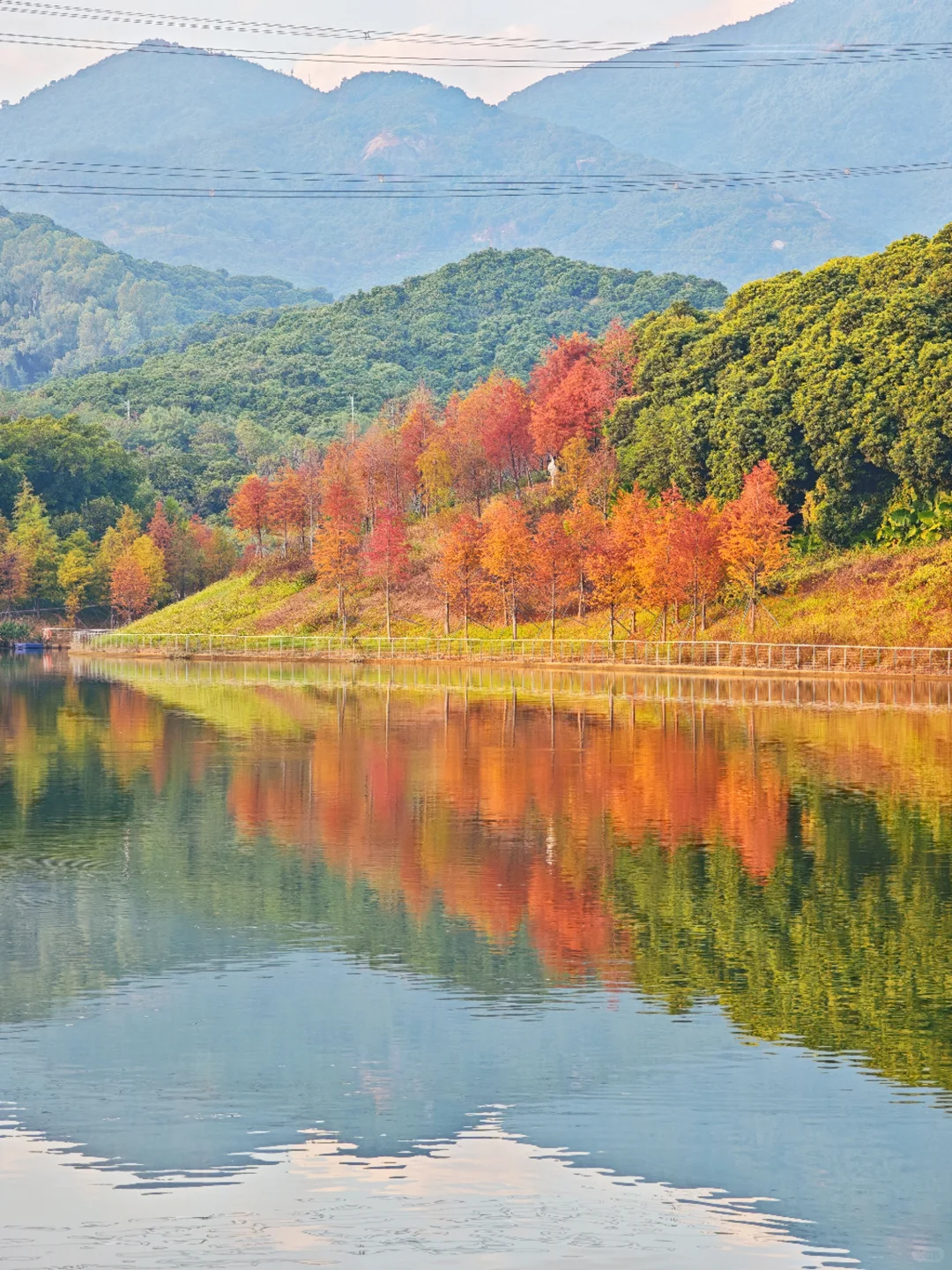 深圳西丽写意三河已美成油画，附live实拍！
