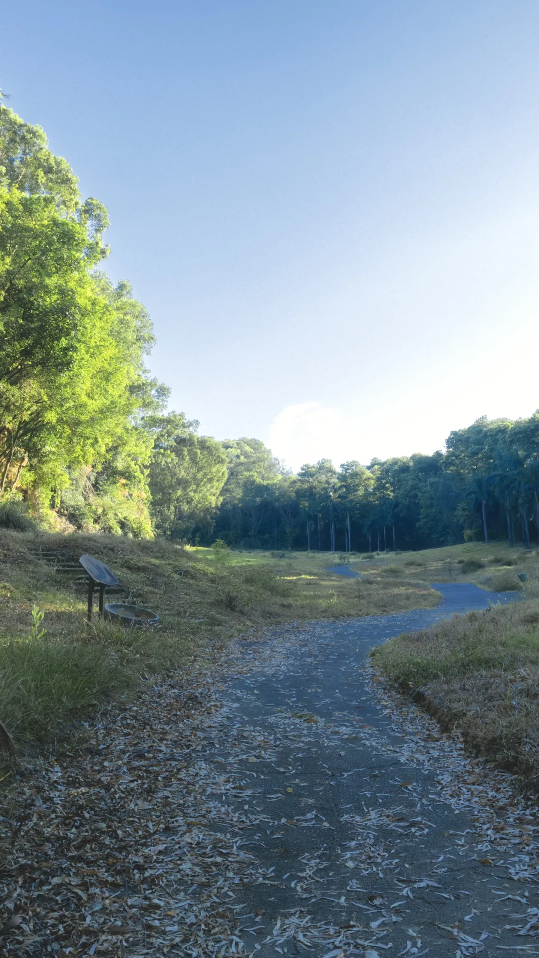 深圳龙岗徒步2小时｜小众绮丽郊野路线