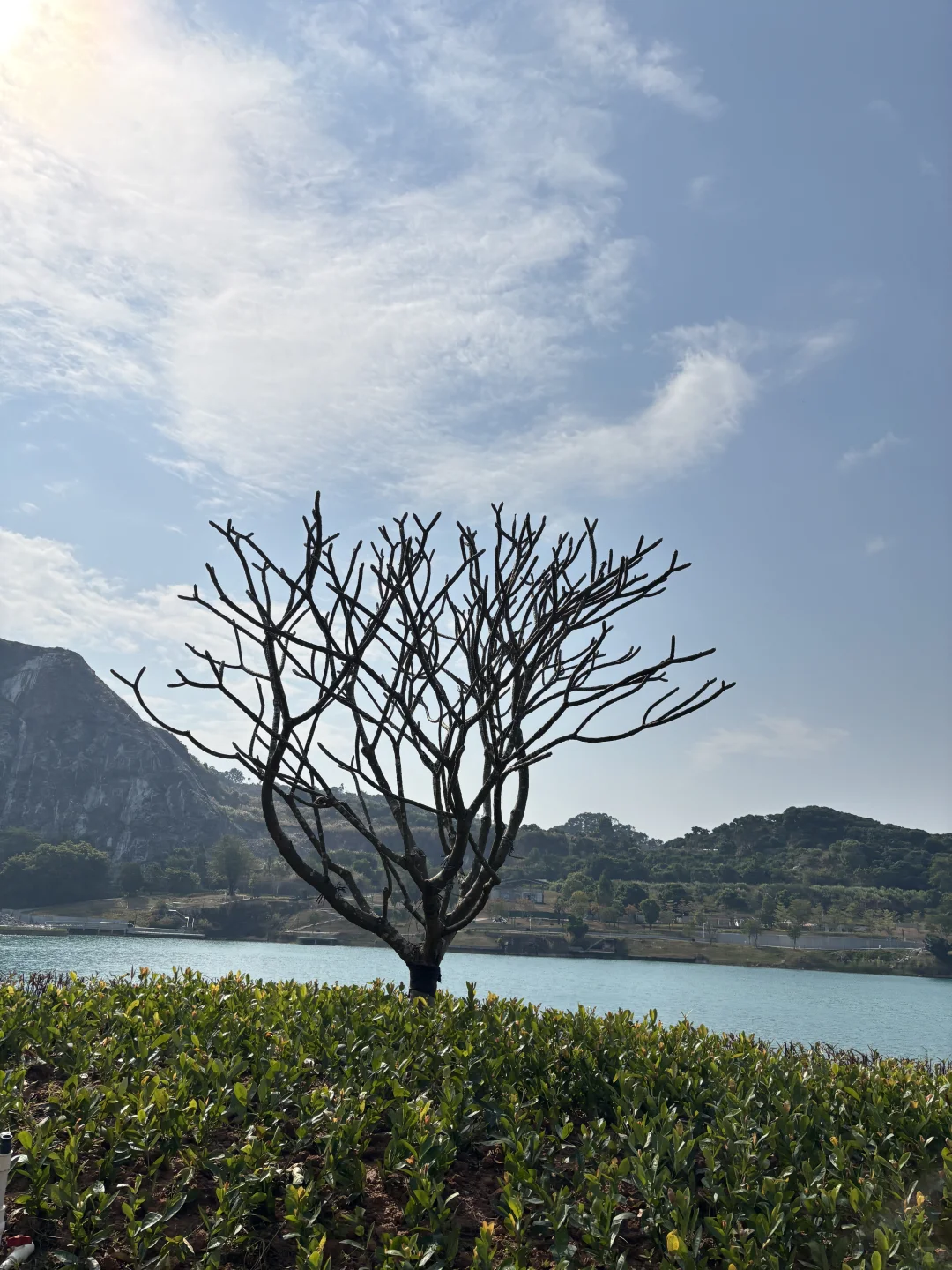 东莞遛娃惊喜发现！免费“小九寨沟”碧玉湖