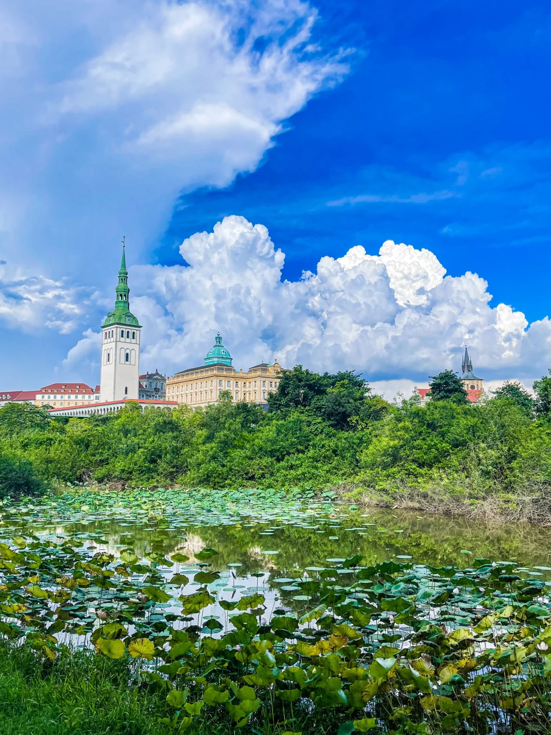 夏天的松山湖，即将成为东莞公园顶流！