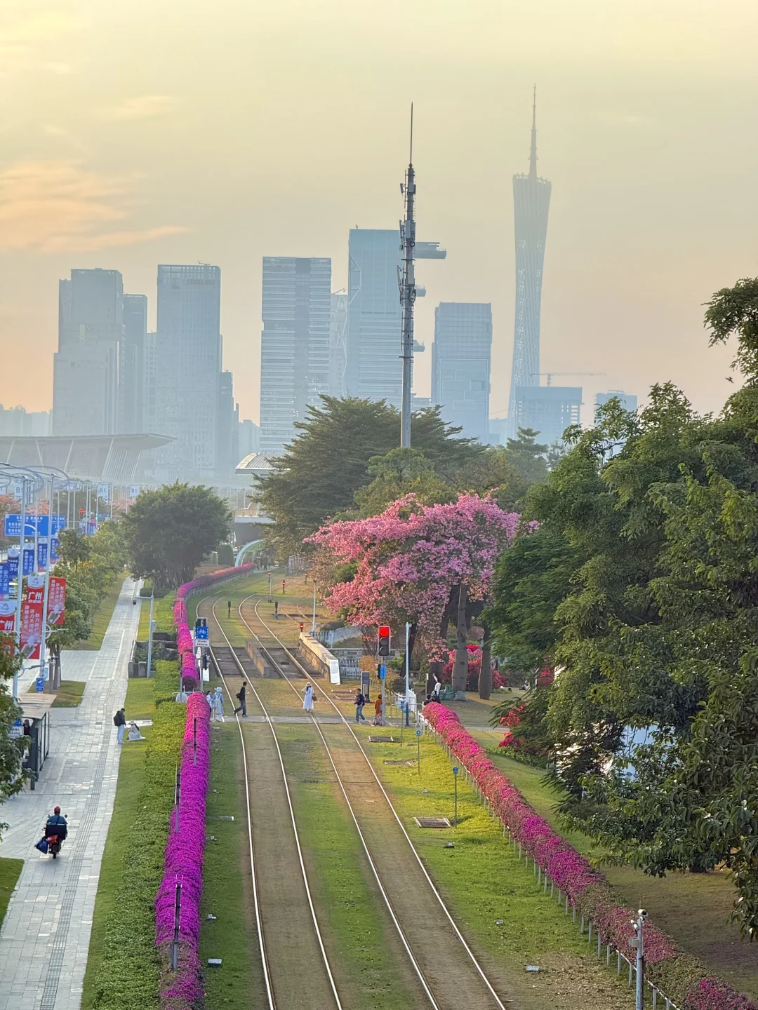 12.1live实拍 广州🌸拍到了动漫的花海列车