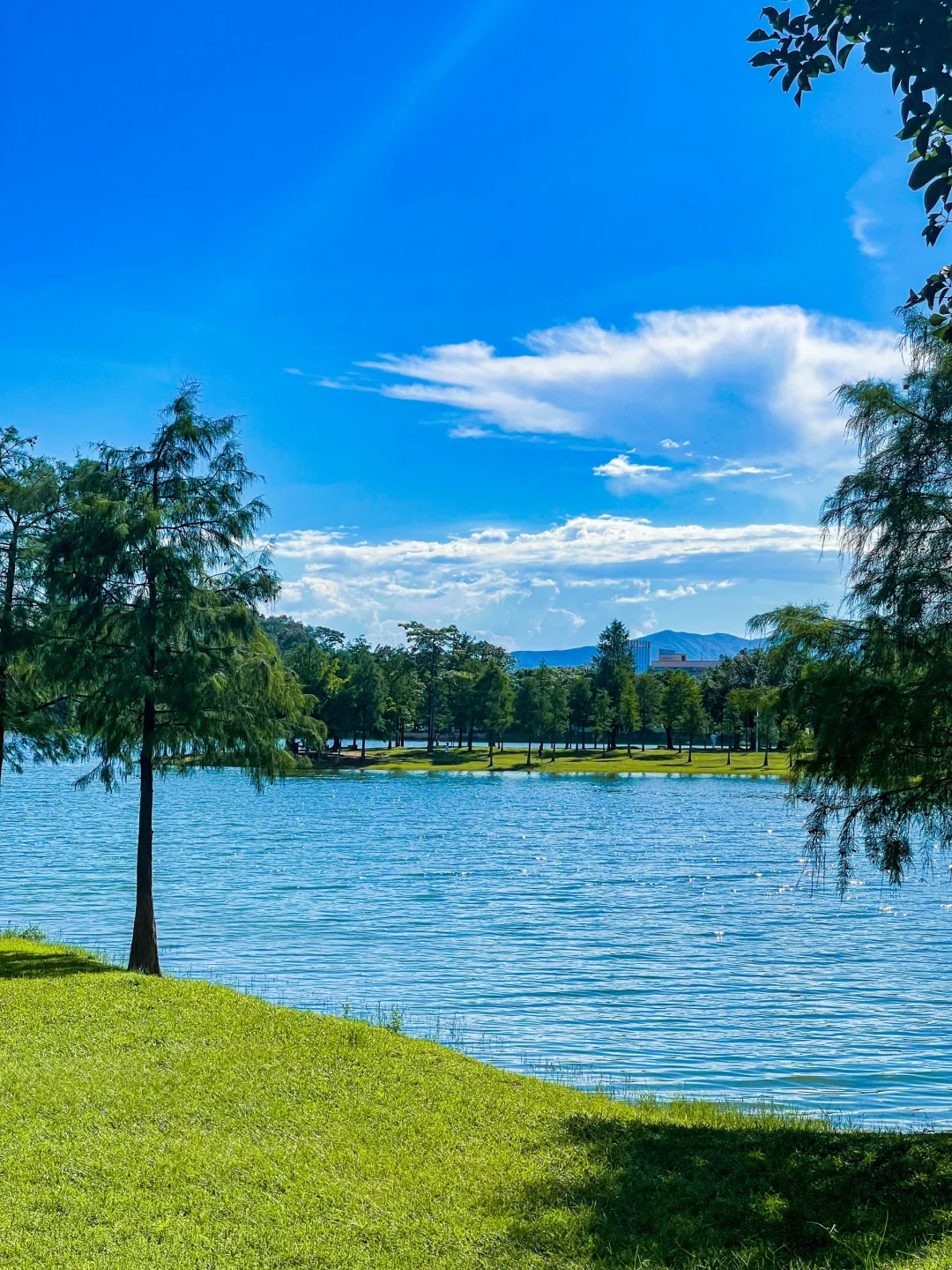 夏天的松山湖，即将成为东莞公园顶流！