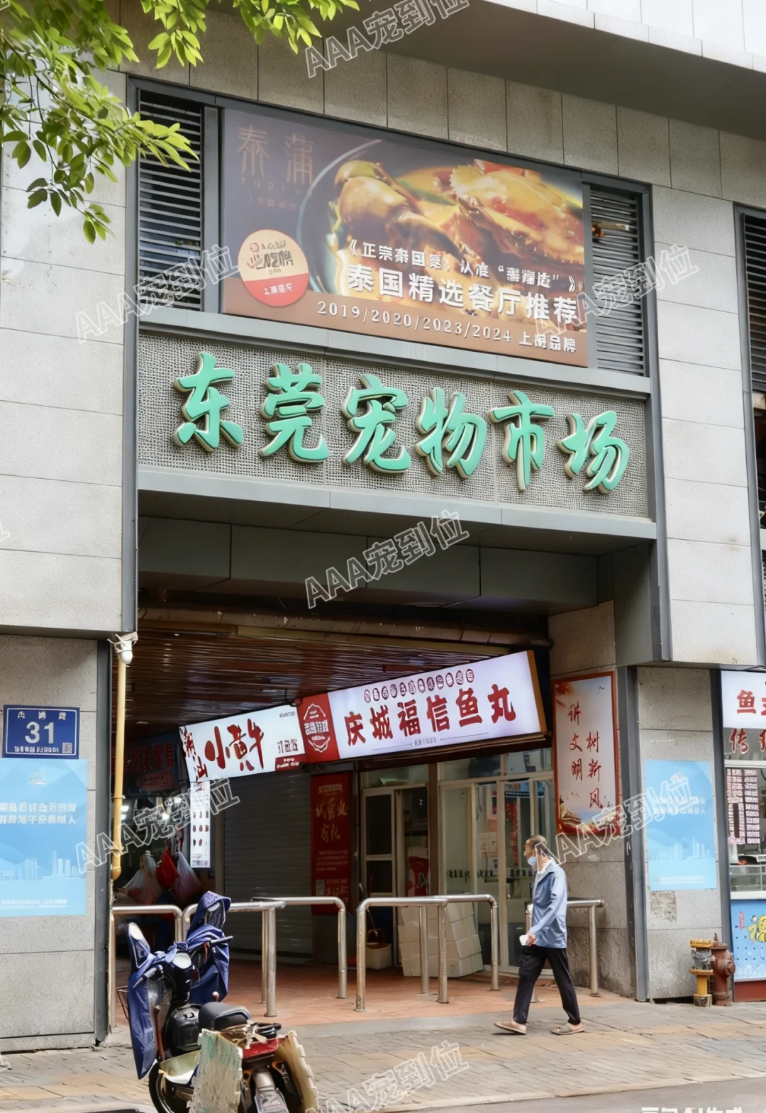 东莞宠物市场一条街 带大家看看