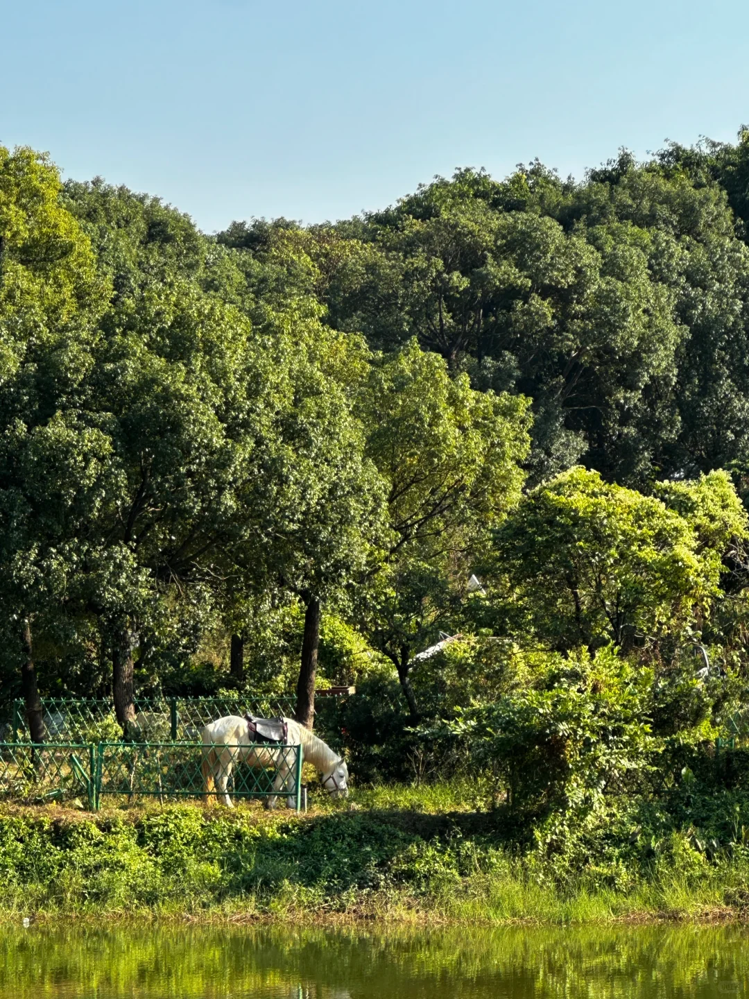 不是欧洲🕌是东莞松山湖🏞️