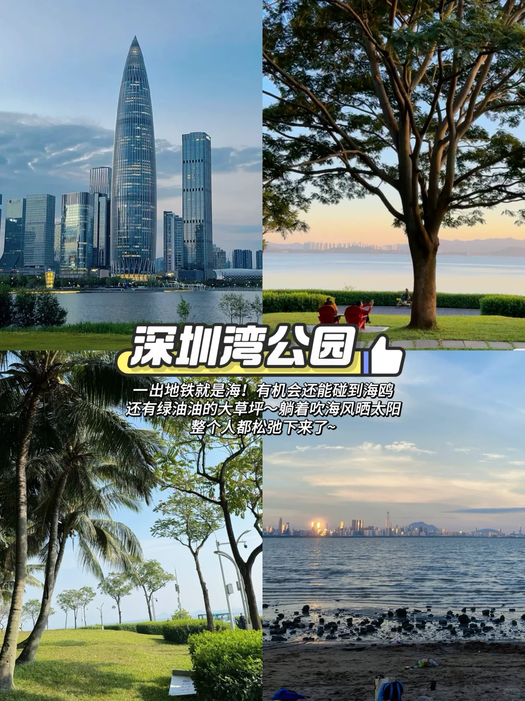 📍懒人版深圳经典一日游保姆级攻略‼️附地图