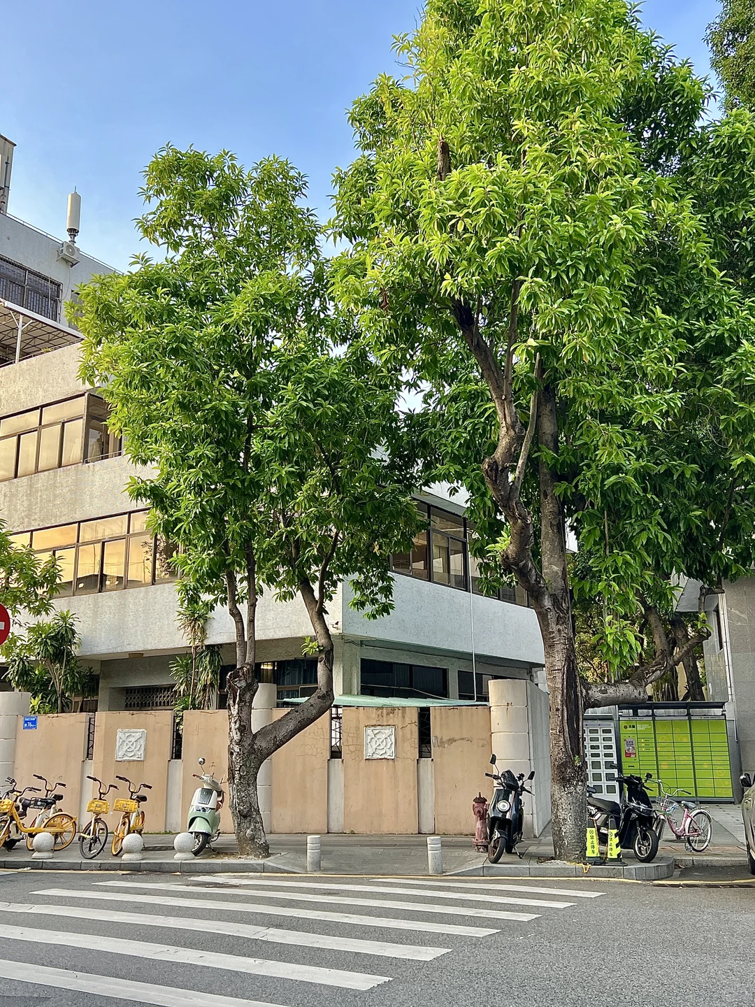 东莞🌳🐈📔一个人莞城citywalk恢复能量
