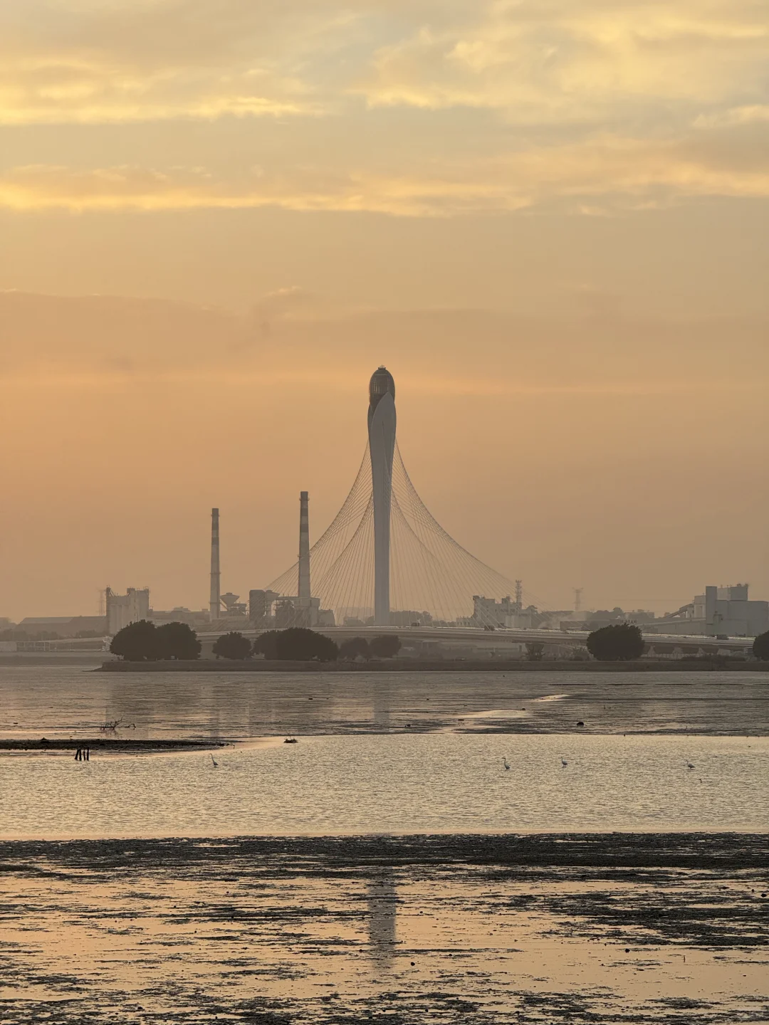 东莞·在海边看日落的18个瞬间｜live photos