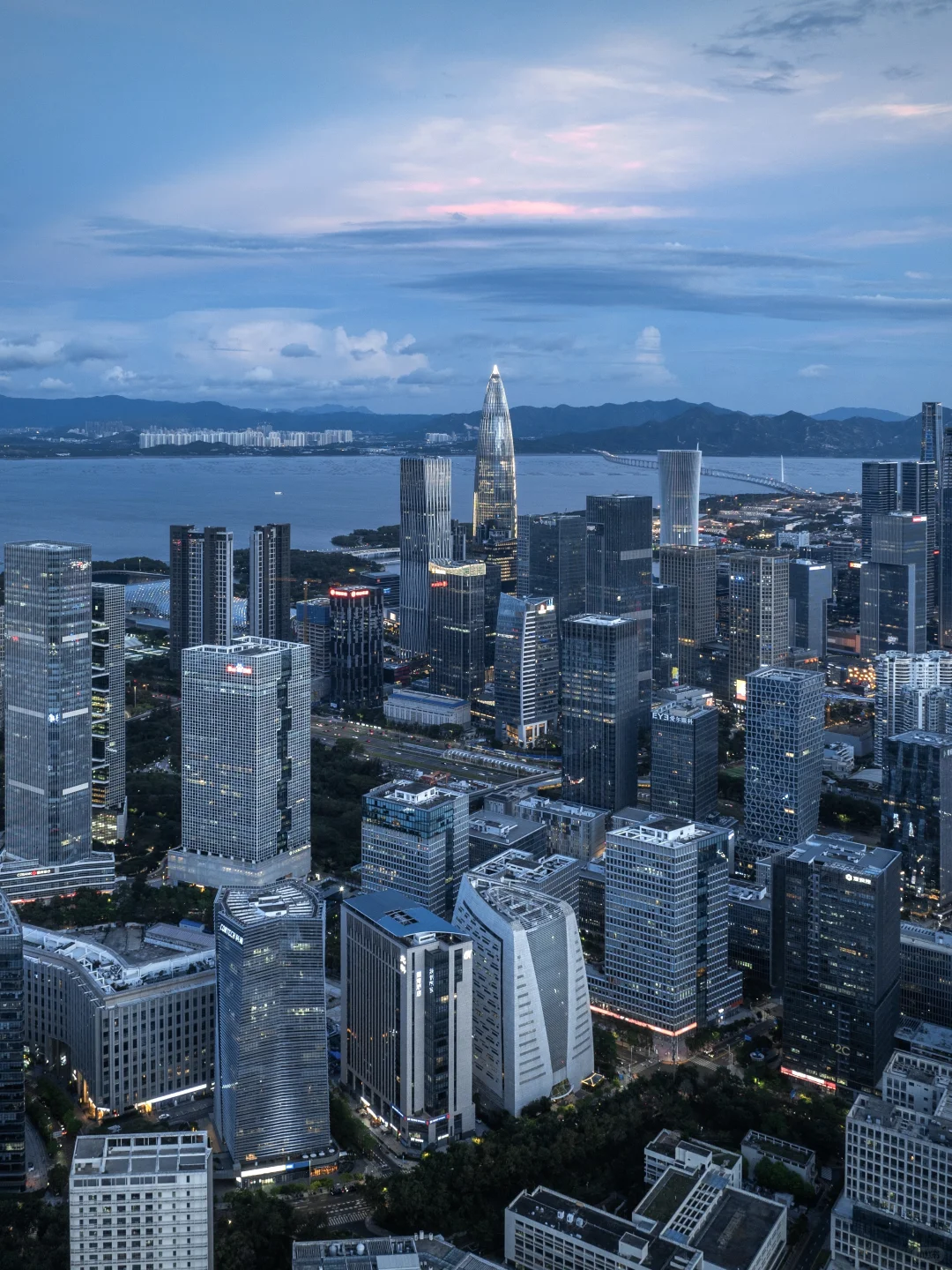 不敢想象45年前的今天，这里还是一片滩涂