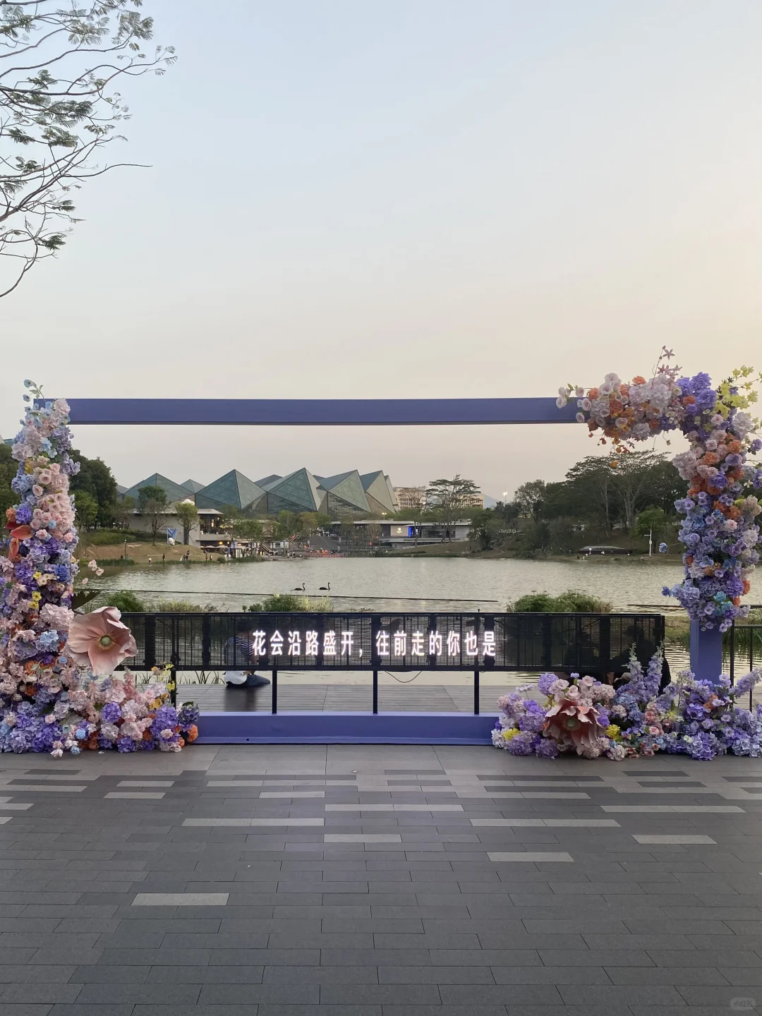 深圳🌊是一座被严重低估的旅游城市