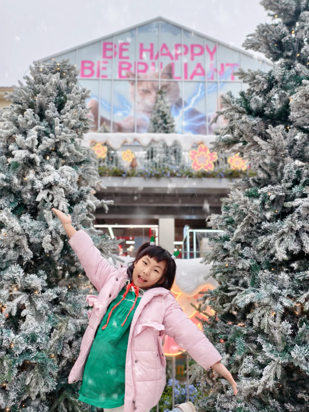 📢来啦来啦❗广州圣诞🎄免费看❄️撸宠