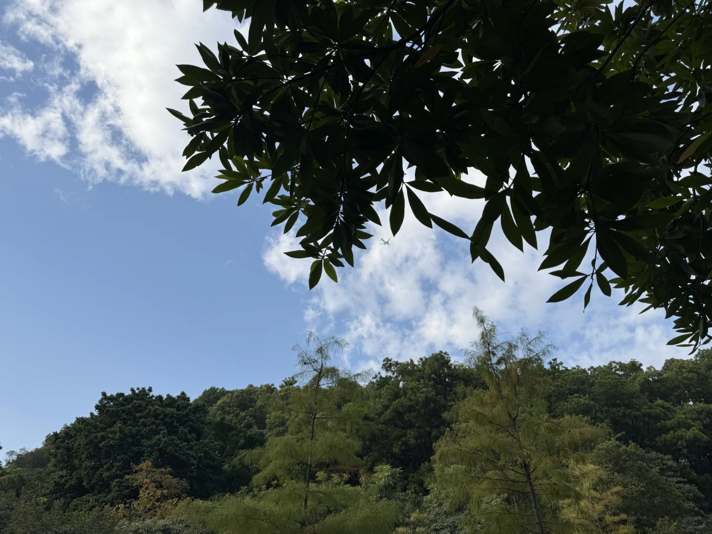 我推荐每个在广州的朋友立刻马上去