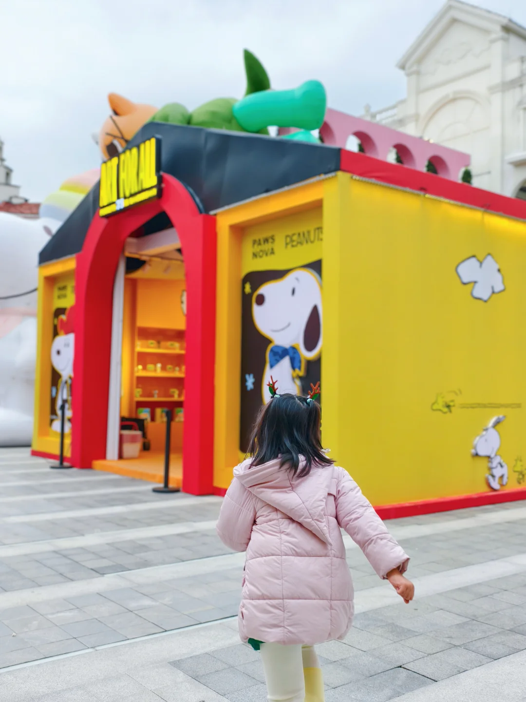 📢来啦来啦❗广州圣诞🎄免费看❄️撸宠