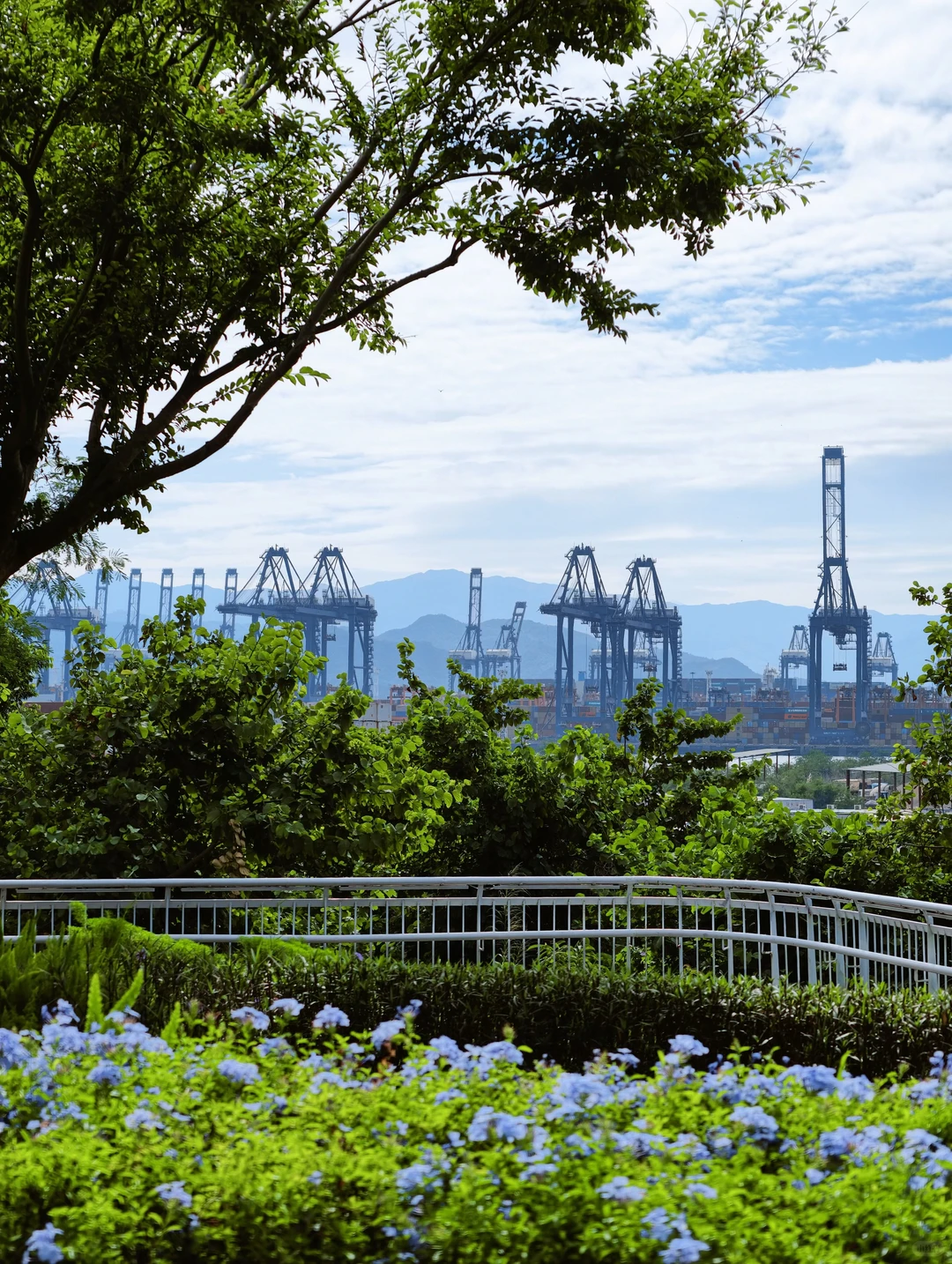 听劝｜深圳版“坚尼地城”不值得你专程跑一趟