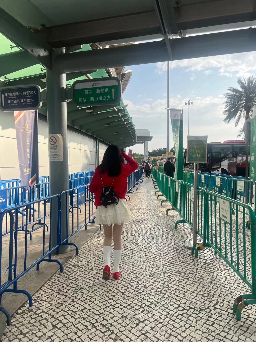 交通篇：深港珠澳血泪经验总结（实践版❗️）