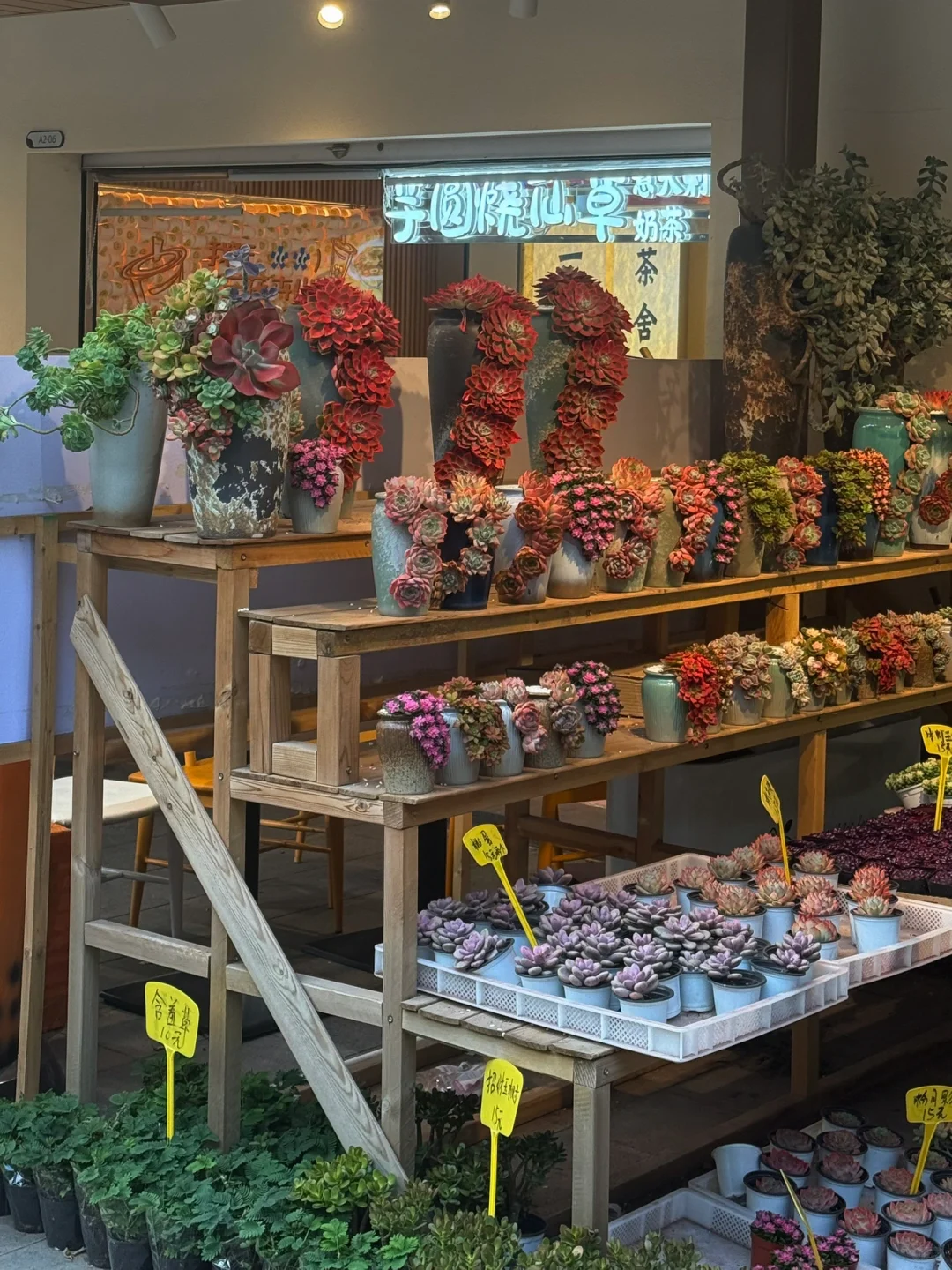 🇨🇳深圳2天2夜自由行攻略| 人均RM600