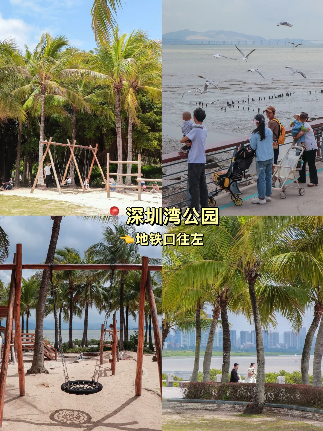 📍深圳Citywalk｜经典一日游路线攻略