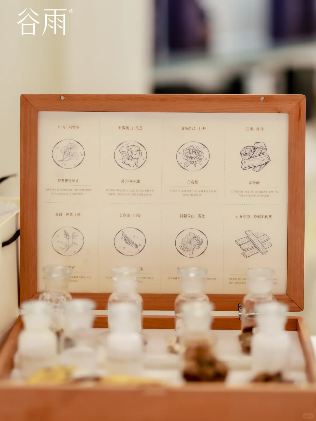 谷雨全国旗舰首店｜广州「雨亭」火热进行中