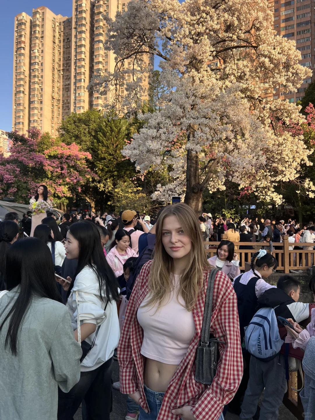 花开了的时候在广州