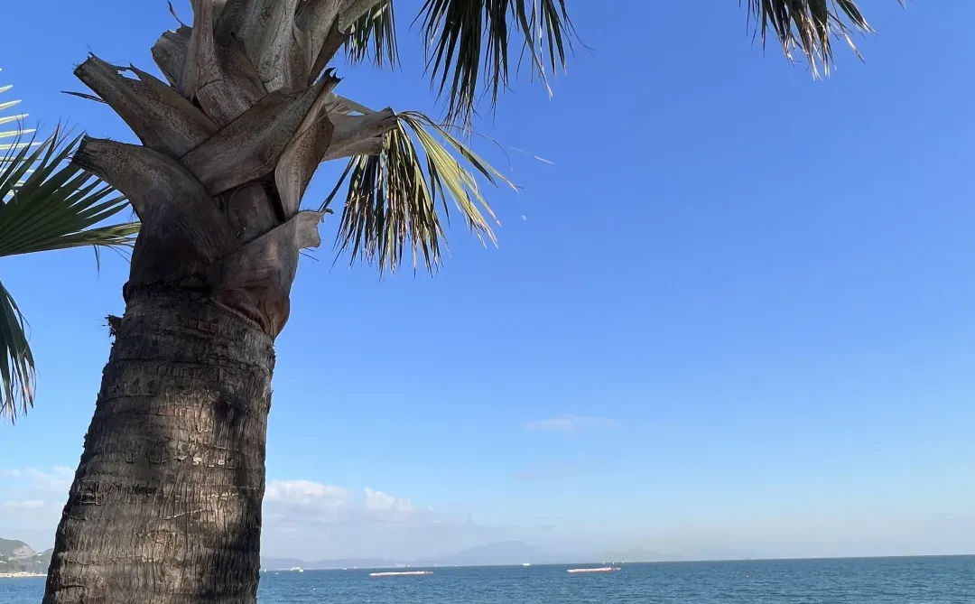 深圳周末 | 地铁直达🌊大梅沙玻璃海+栈道礁