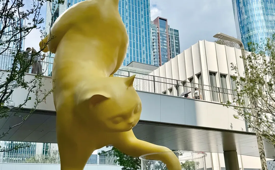 深圳湾万象城二期！超全citywalk攻略！（无广）