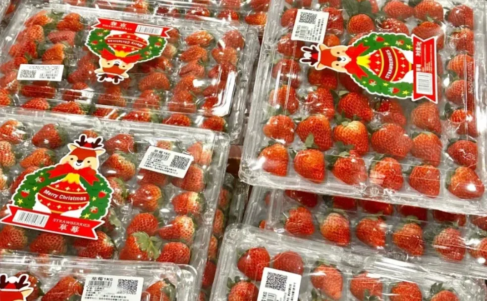 草莓季来啦🍓