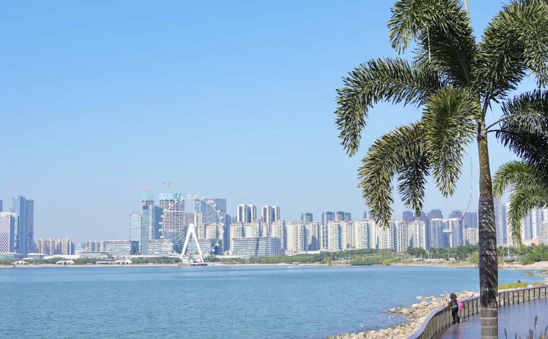 深圳一日citywalk，建议直接复制这条路线‼️