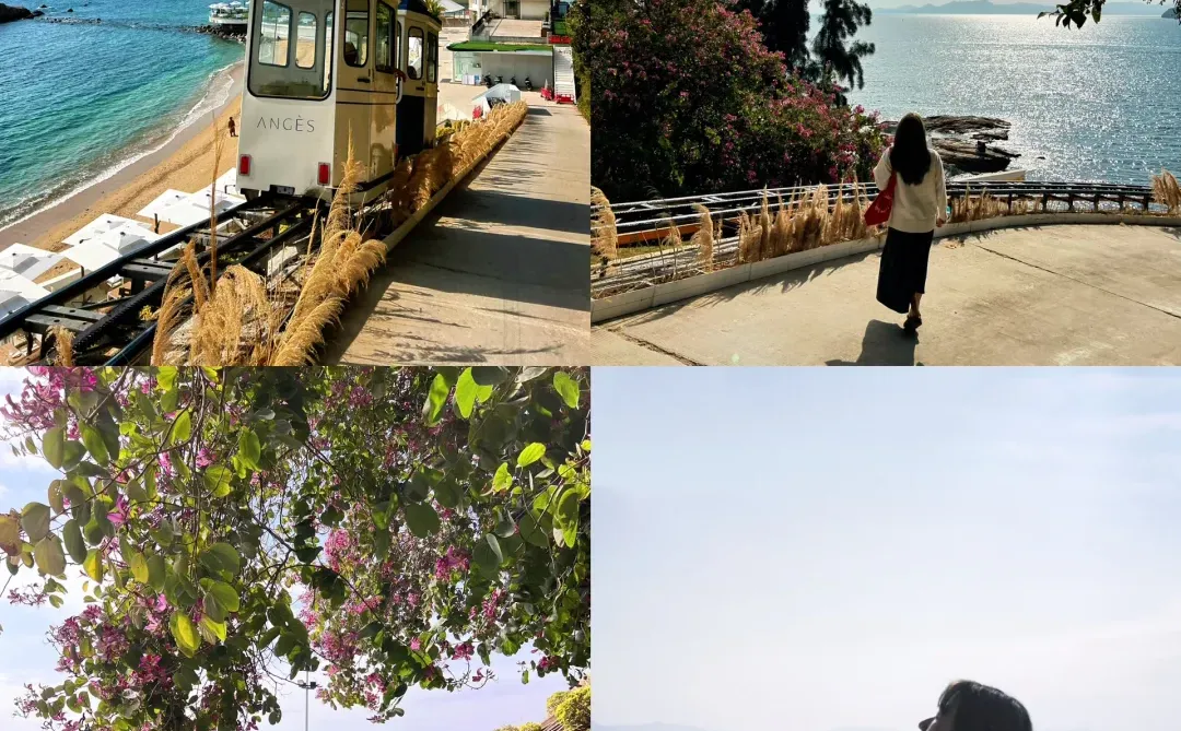 呕心沥血总结✍️深圳海边18个好去处！（附机位