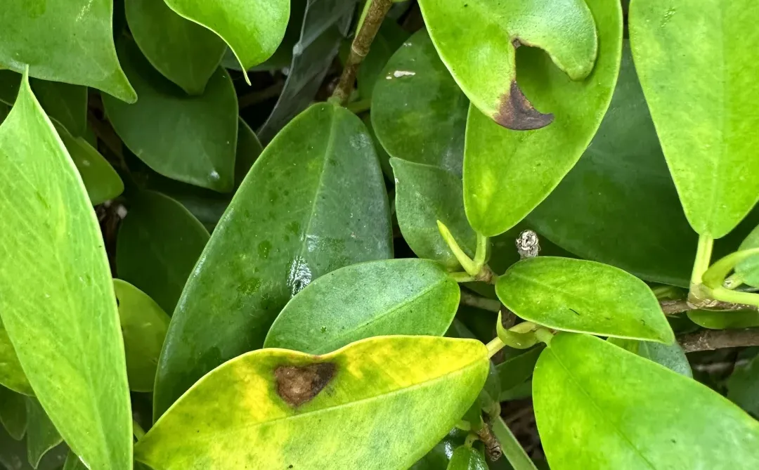 深圳世界之窗地铁站自取，我来啦～