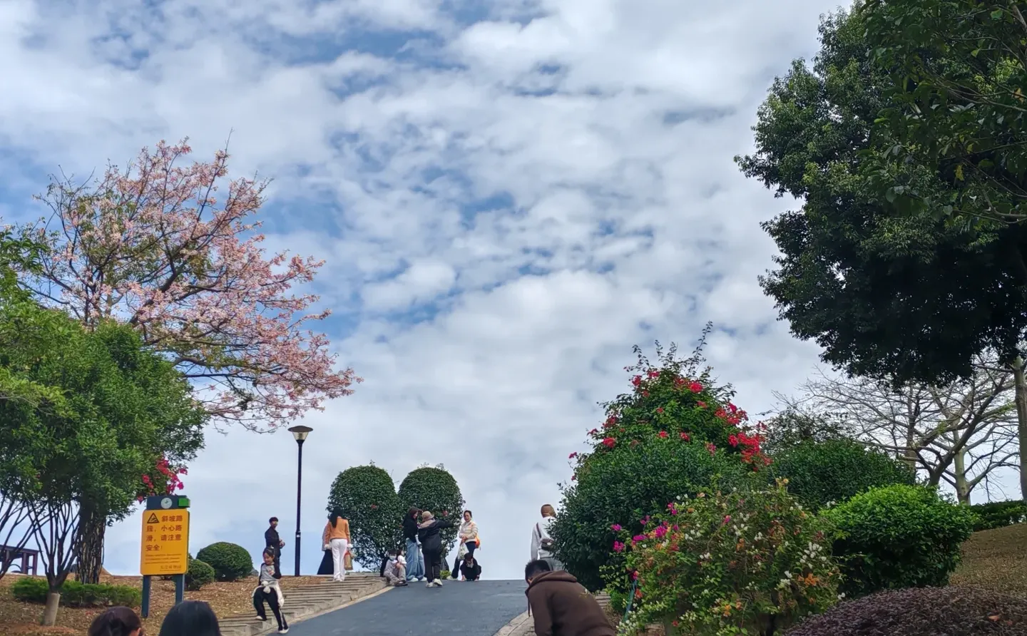 东莞植物园游玩攻略｜含网红爱心树打卡指南