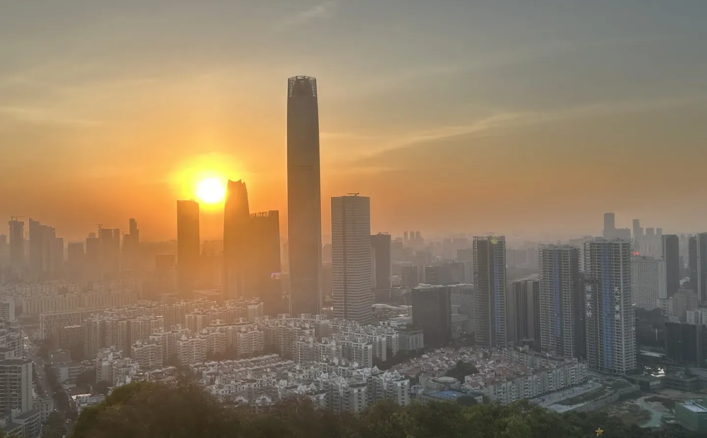 也算是进城了吧，这个季节的东莞真舒服