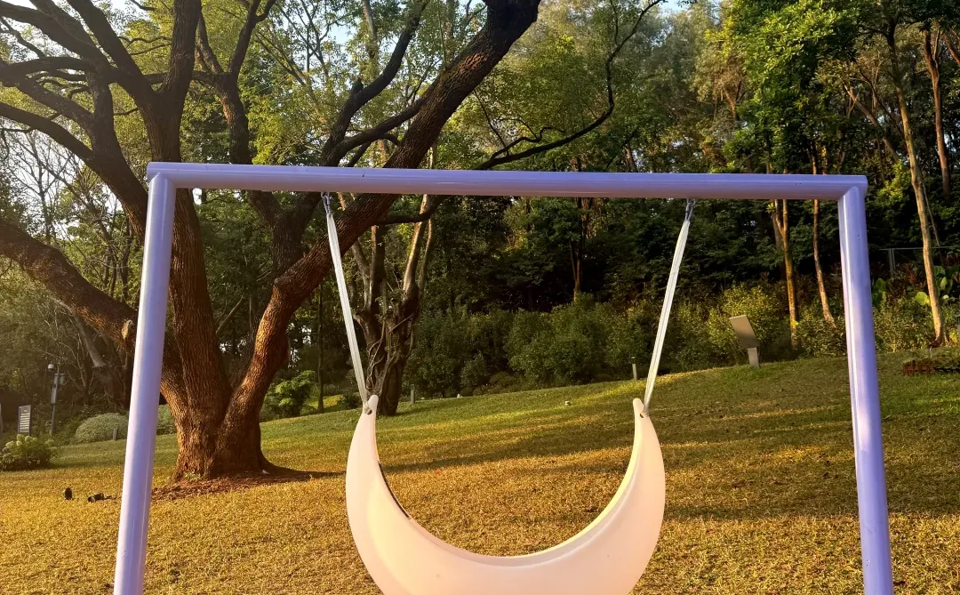 12.8live实况 广州落羽杉红啦🍁0元打卡攻略