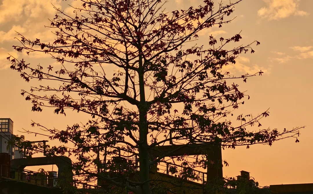 广州新地标｜船台1914拥抱无界珠江