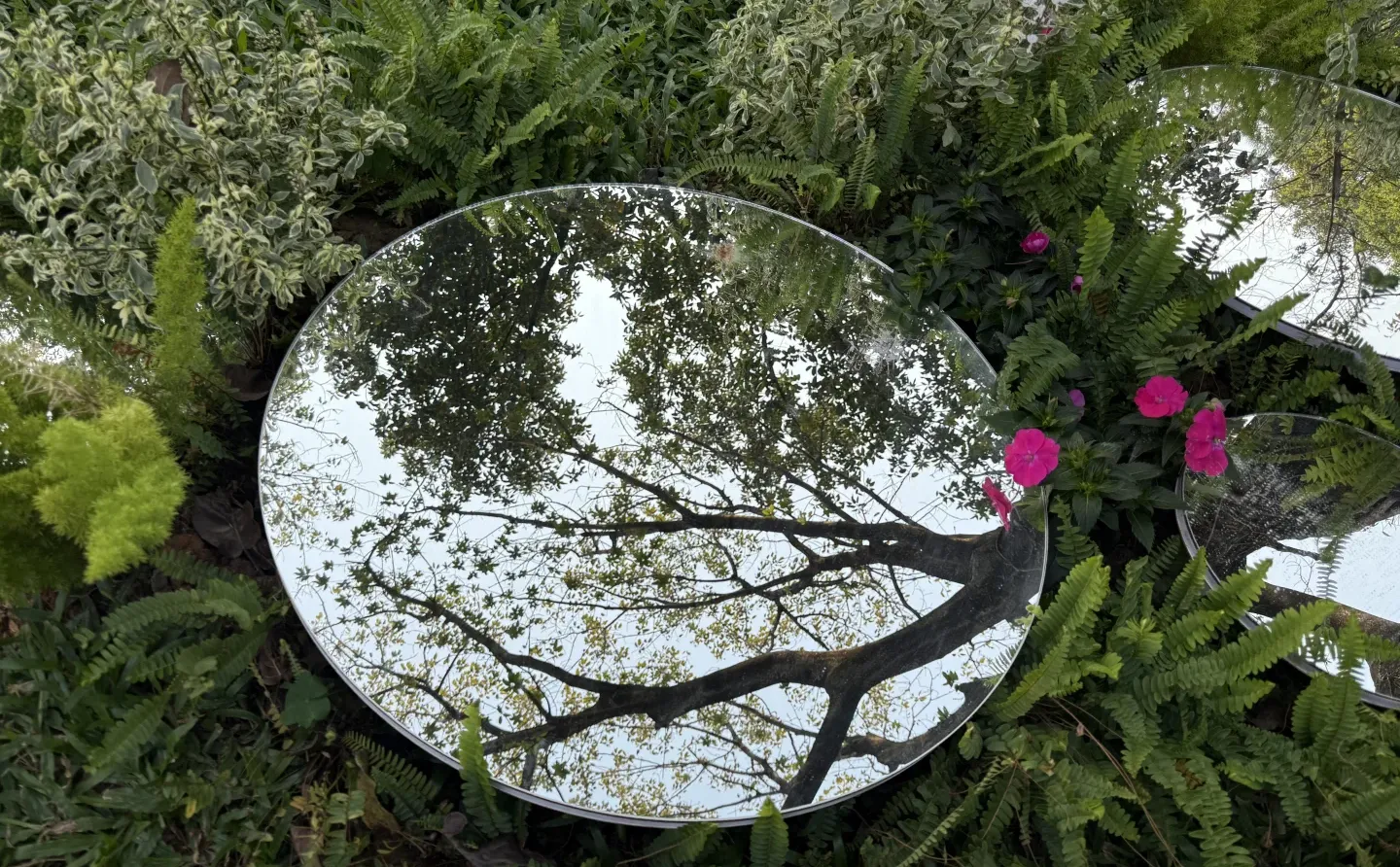 我推荐每个在广州的朋友立刻马上去