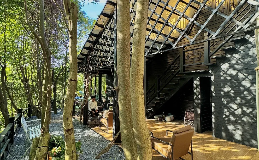 东莞｜愿意坐一天的森林瀑布咖啡屋🌳