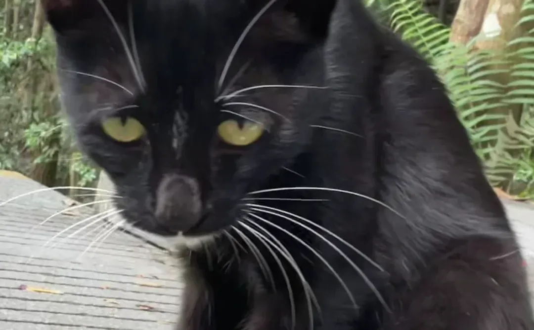 东莞第一峰拿下🤏