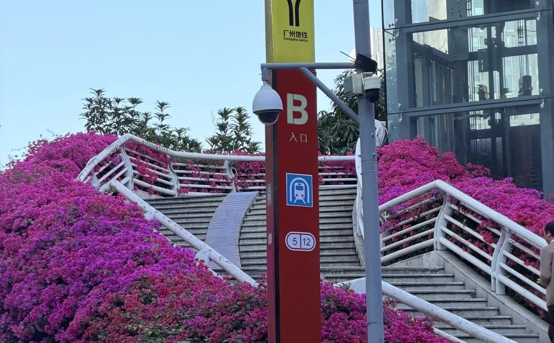 广州天桥藏着粉色惊喜！！！