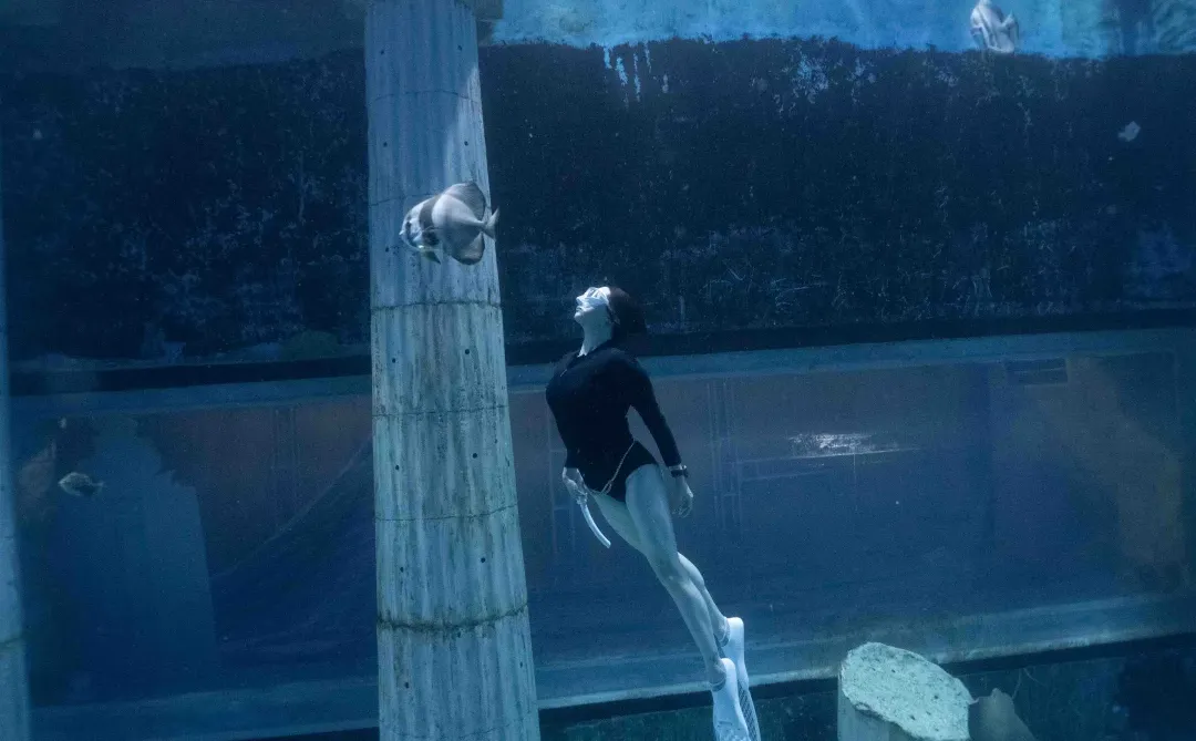 广州正佳极地海洋世界潜水中心