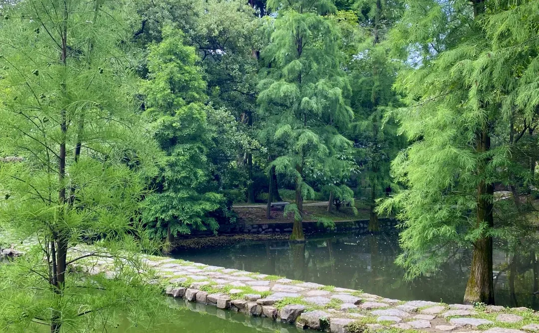 广州——白云山