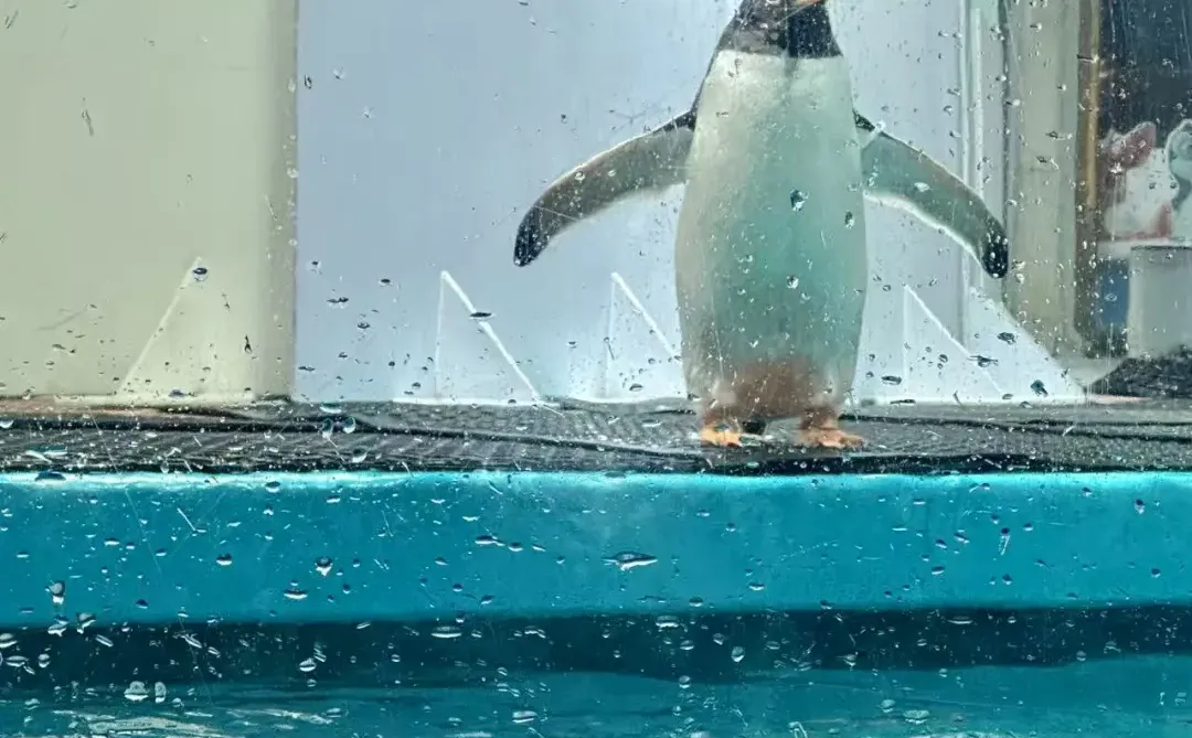 不允许你不知道❗❗广州遛娃天花板！