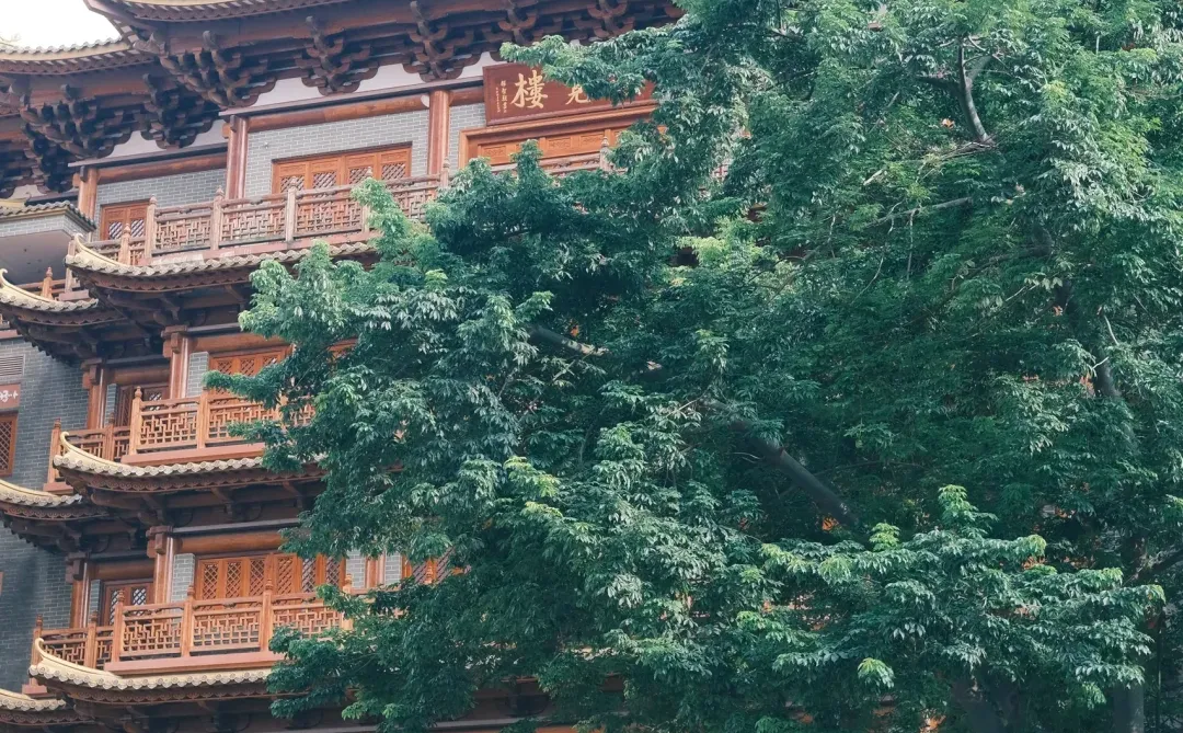 广州小蛮腰➕北京路