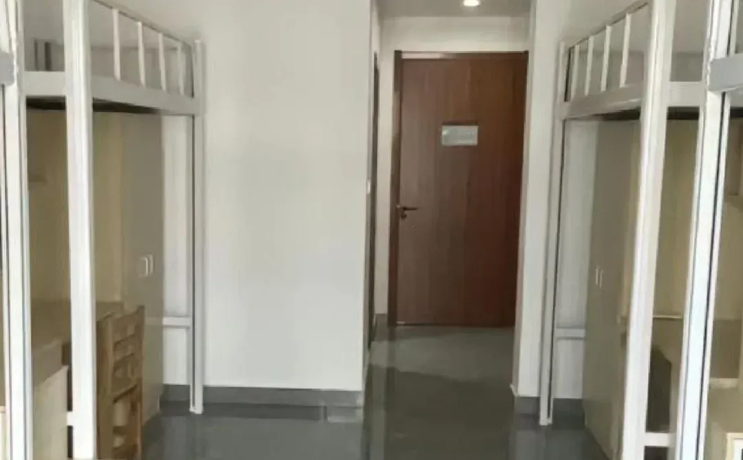 东莞全新玩具厂、长白班220一天