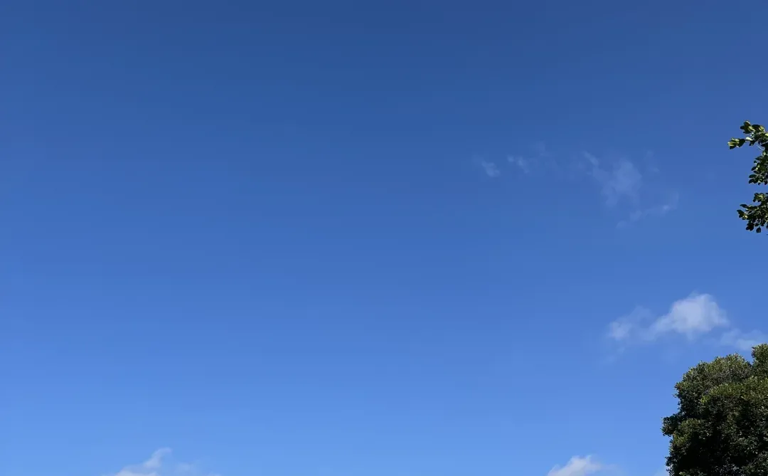 晴天白云，广州，临江大道