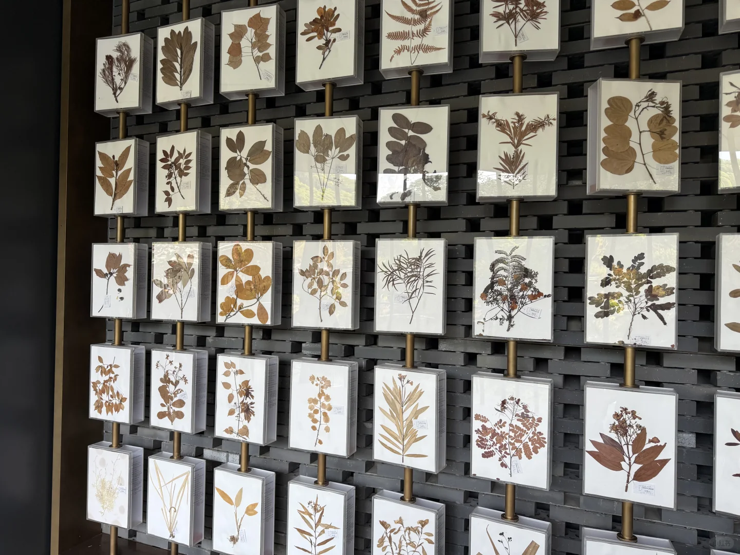 我推荐每个在广州的朋友立刻马上去